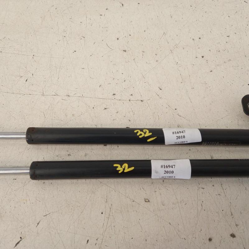 hatch strut