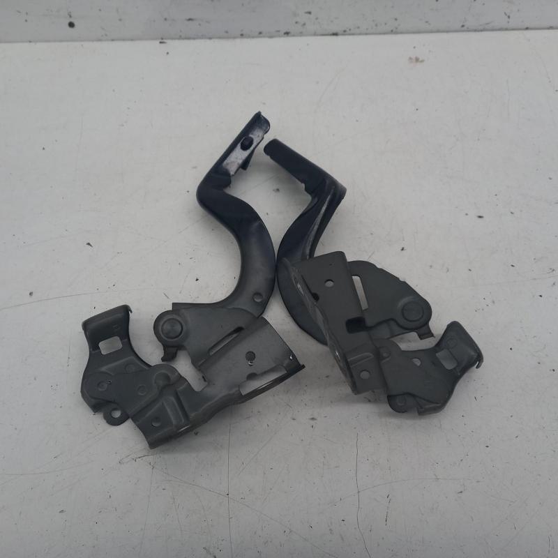 bonnet hinge/strut
