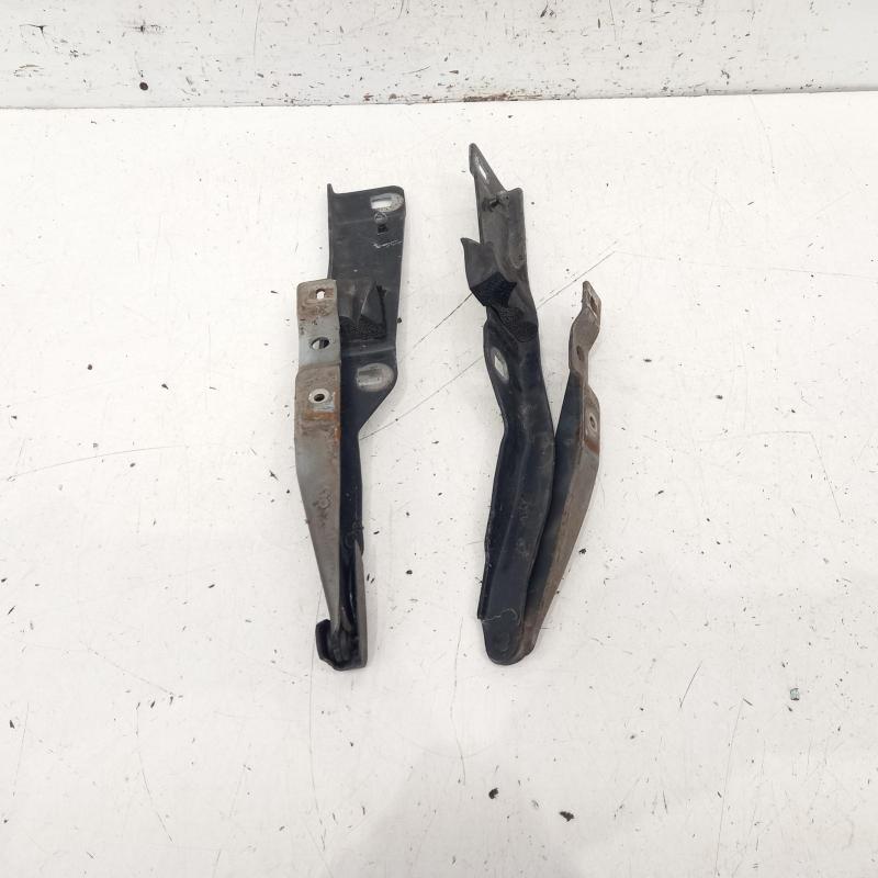 bonnet hinge/strut