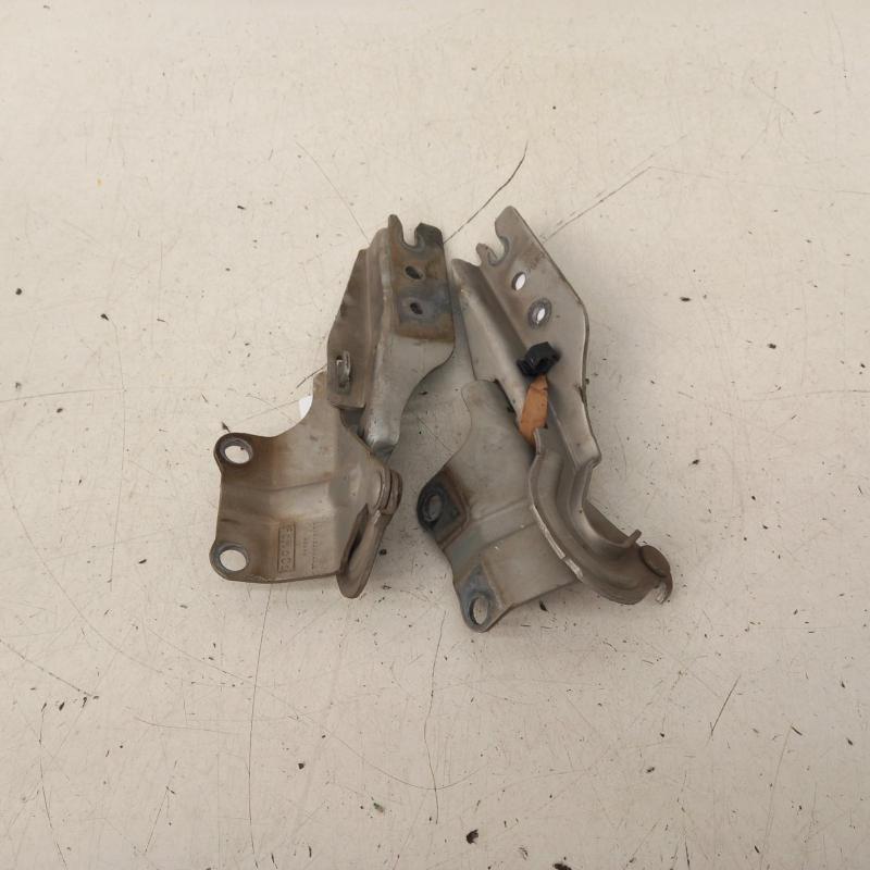 bonnet hinge/strut