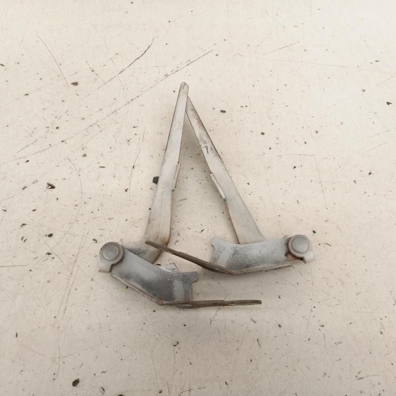 bonnet hinge/strut