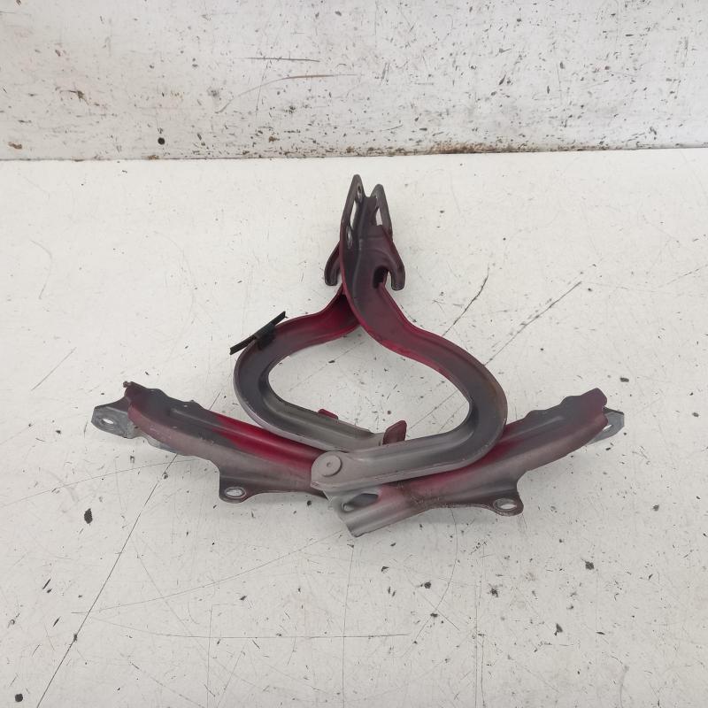 bonnet hinge/strut