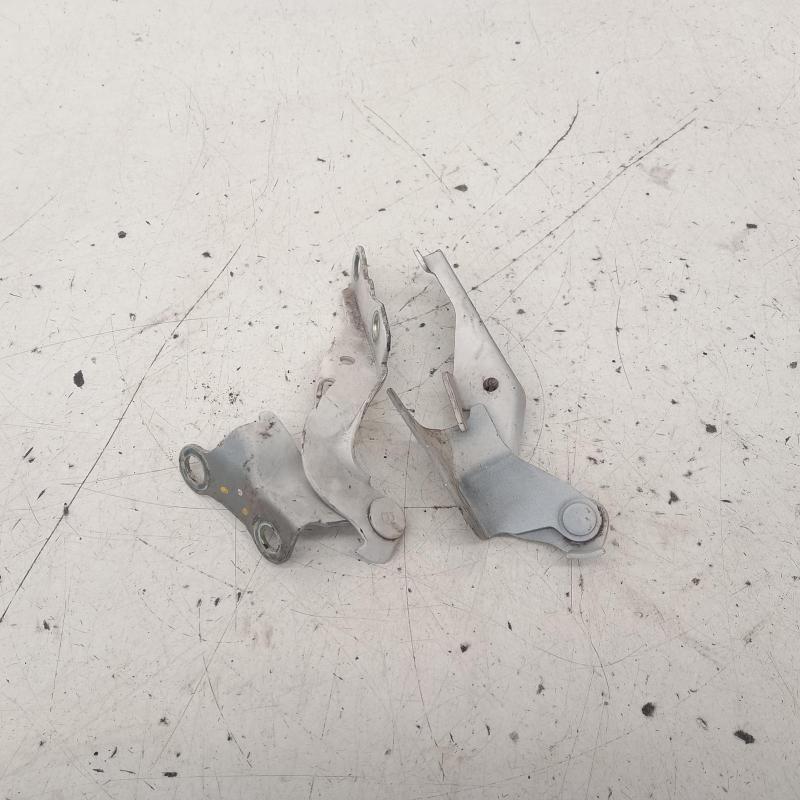 bonnet hinge/strut