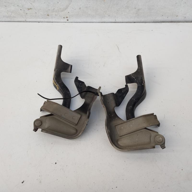 bonnet hinge/strut