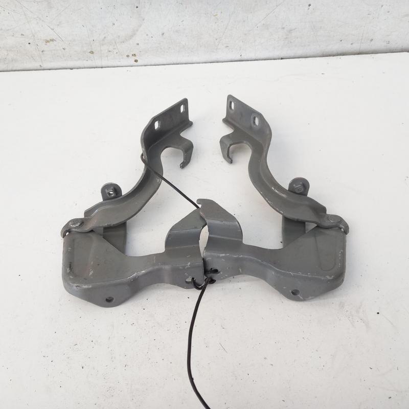 bonnet hinge/strut