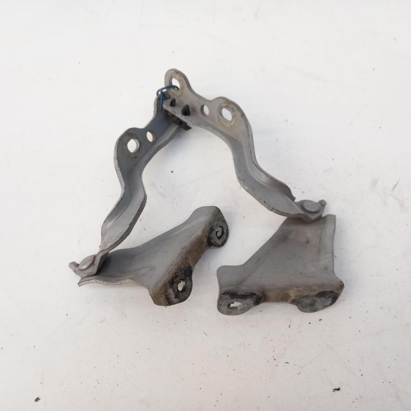 bonnet hinge/strut