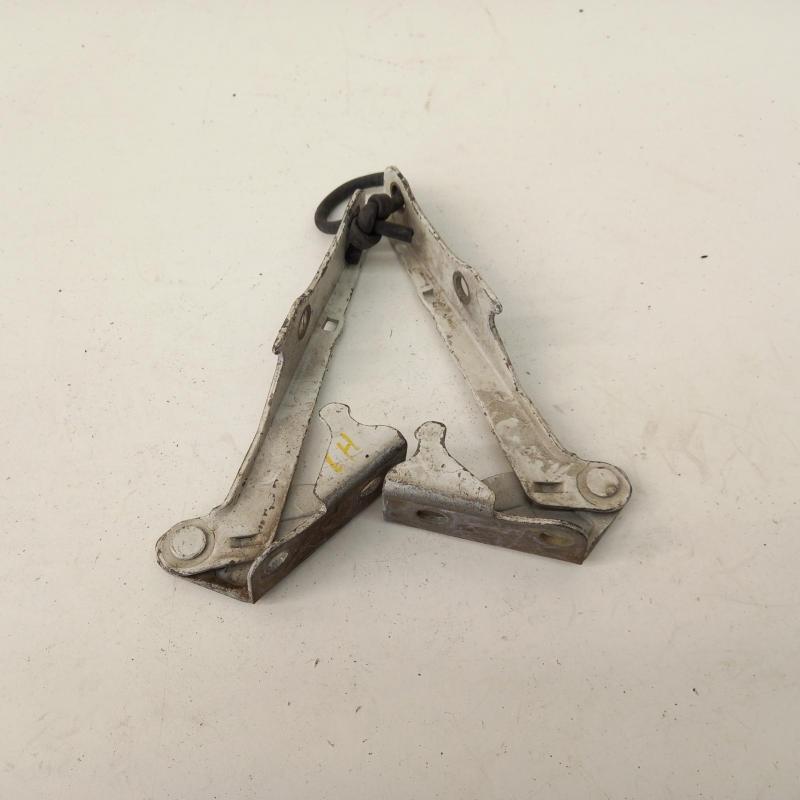bonnet hinge/strut