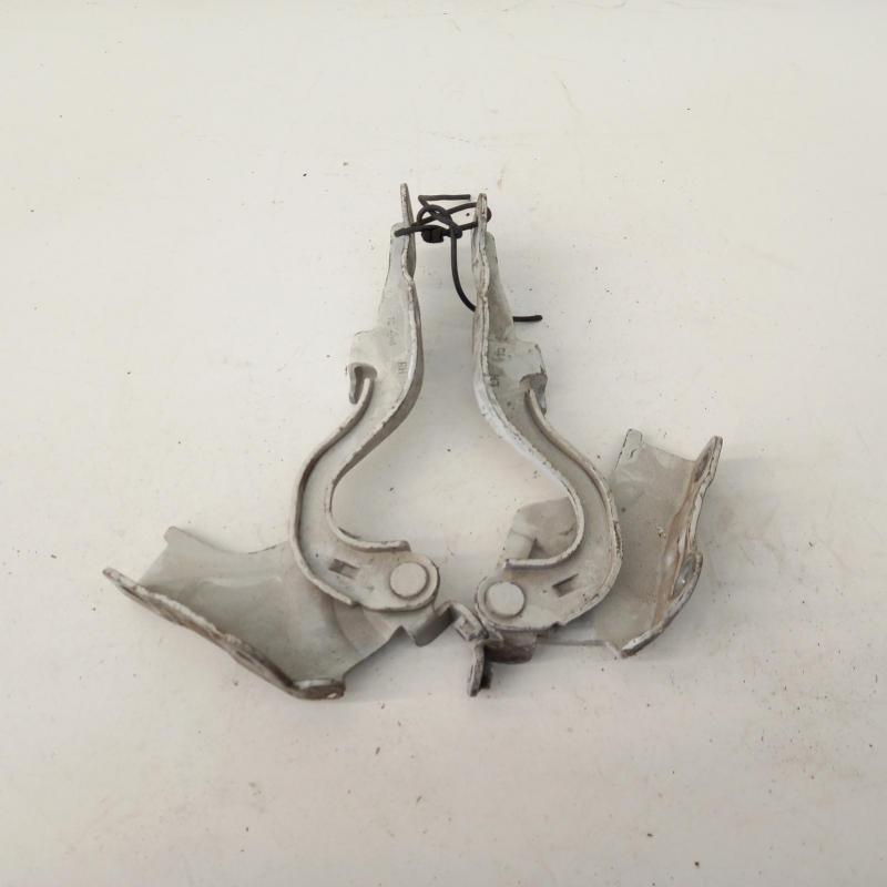 bonnet hinge/strut