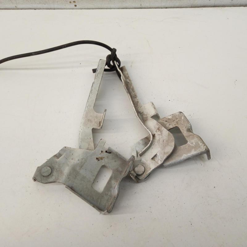 bonnet hinge/strut