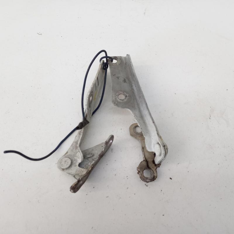 bonnet hinge/strut