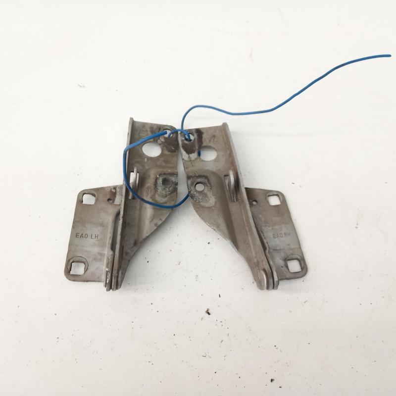 bonnet hinge/strut