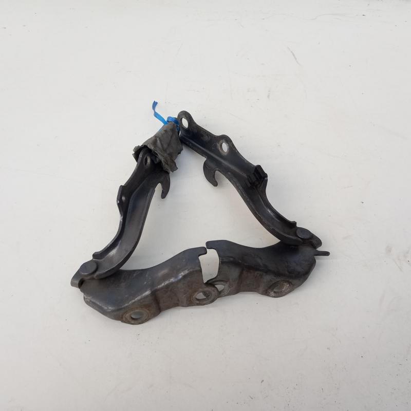 bonnet hinge/strut