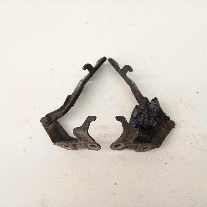 bonnet hinge/strut