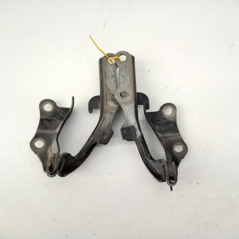 bonnet hinge/strut