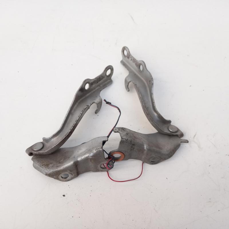 bonnet hinge/strut