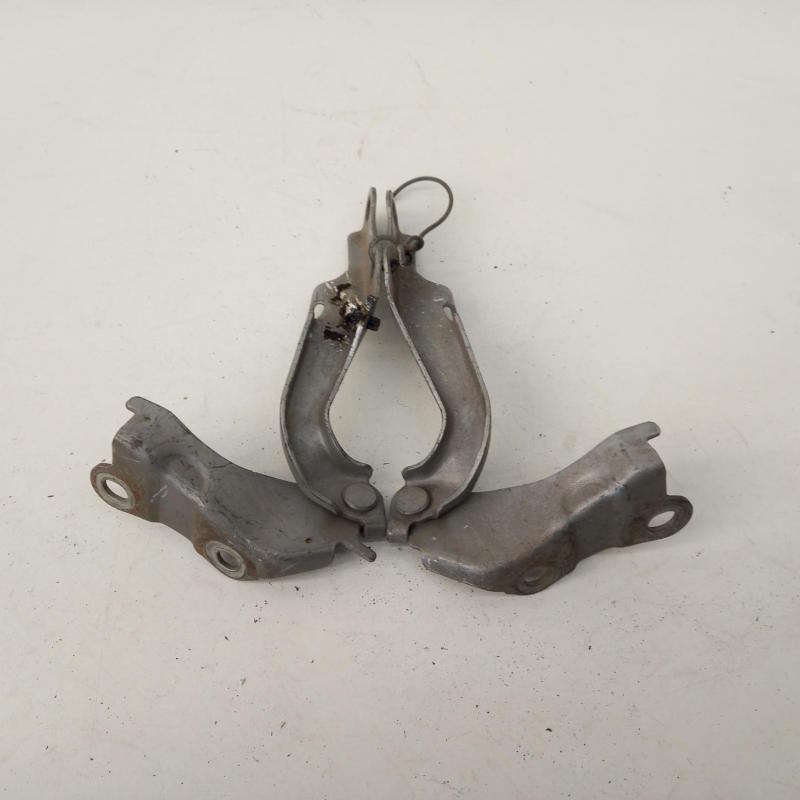bonnet hinge/strut