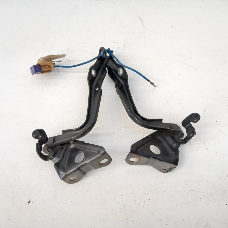 bonnet hinge/strut
