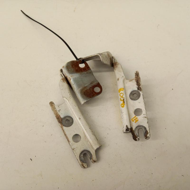 bonnet hinge/strut