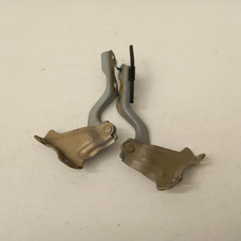 bonnet hinge/strut