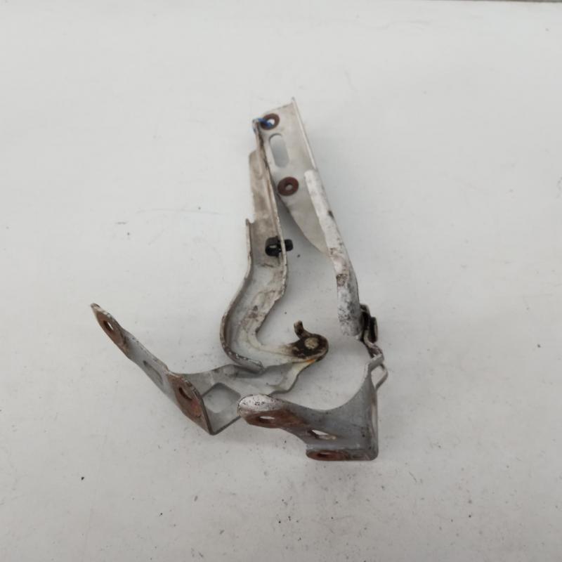 bonnet hinge/strut