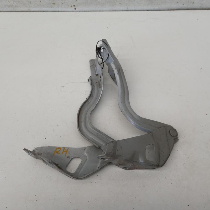 bonnet hinge/strut