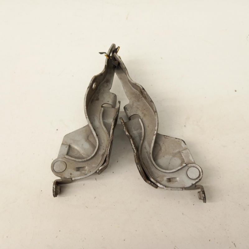 bonnet hinge/strut