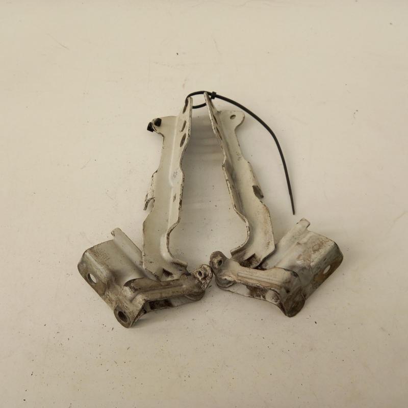 bonnet hinge/strut