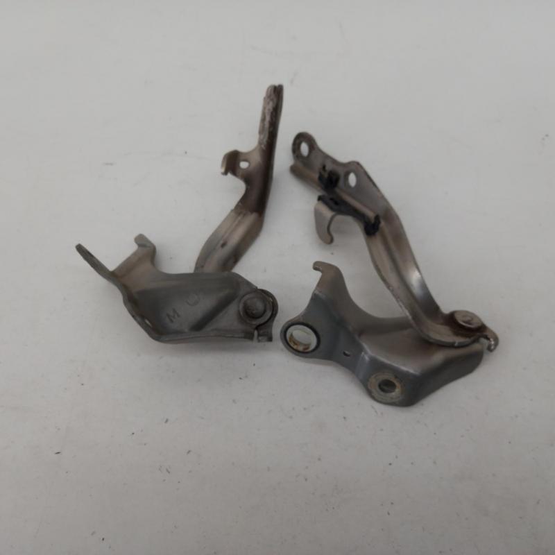 bonnet hinge/strut