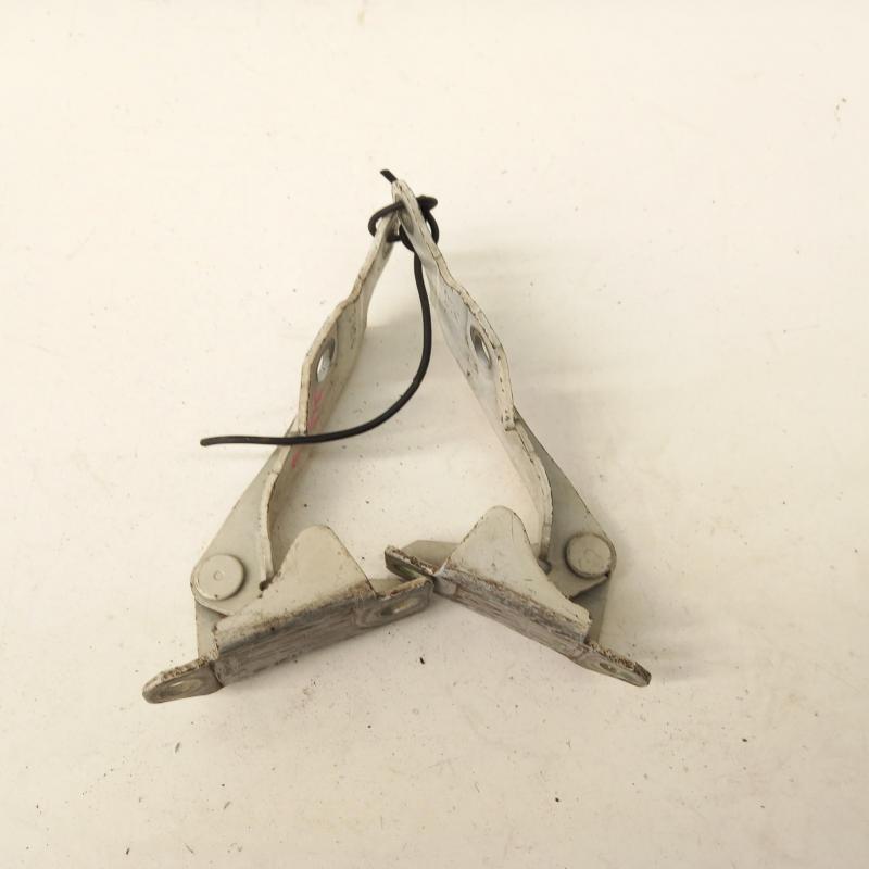 bonnet hinge/strut