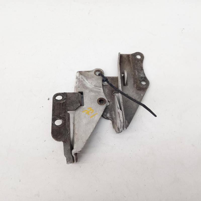 bonnet hinge/strut