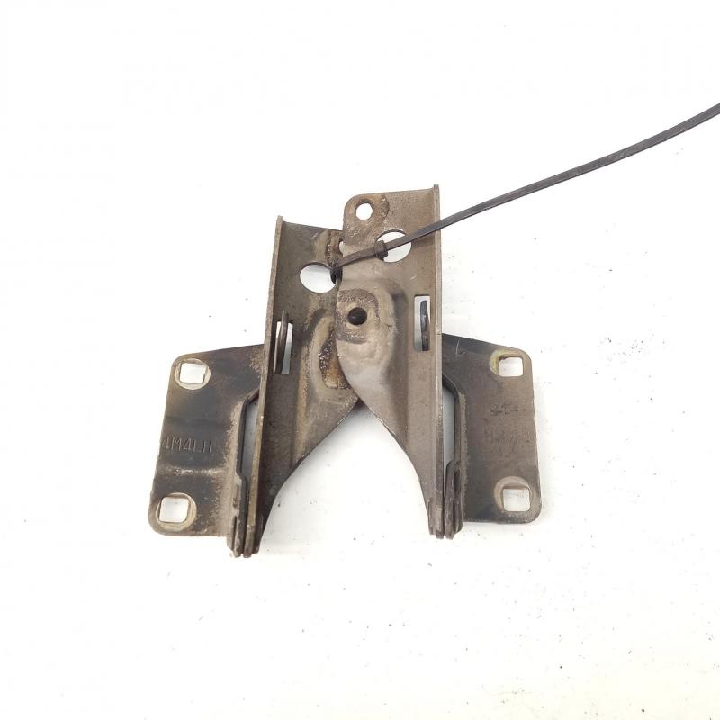 bonnet hinge/strut