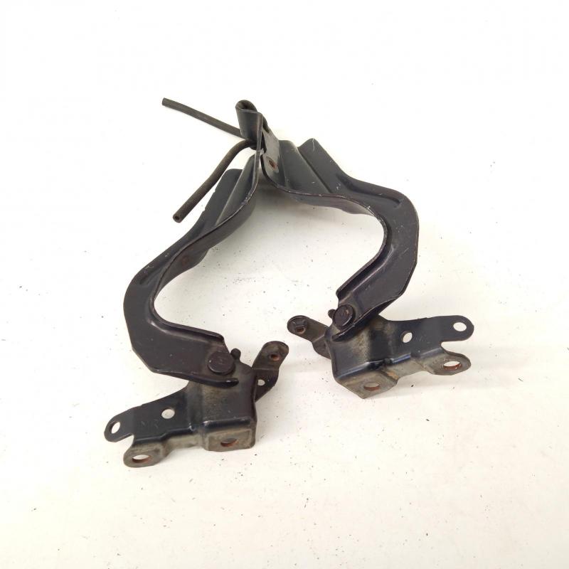 bonnet hinge/strut