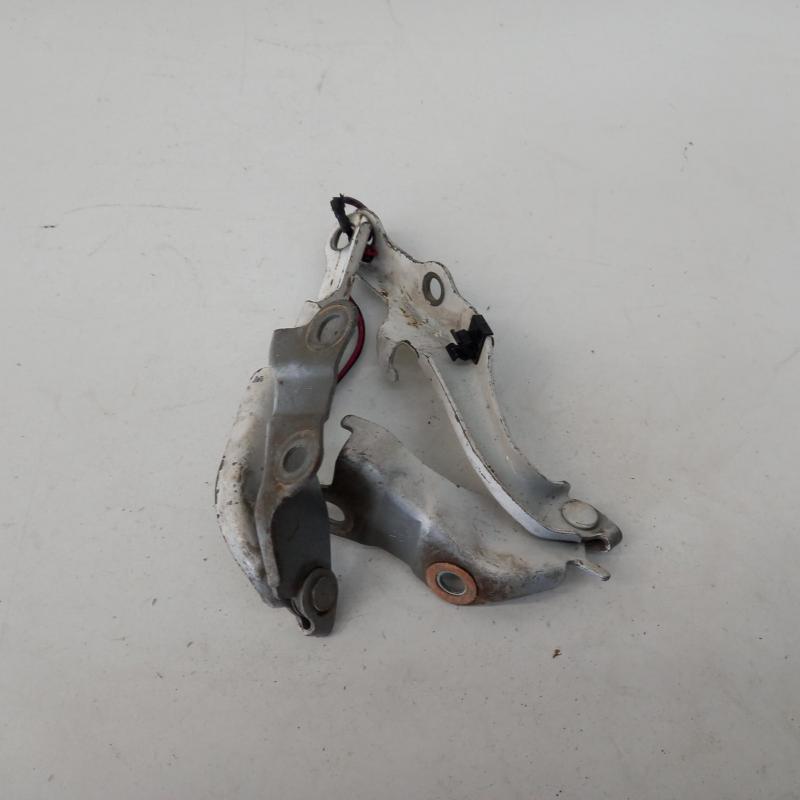 bonnet hinge/strut