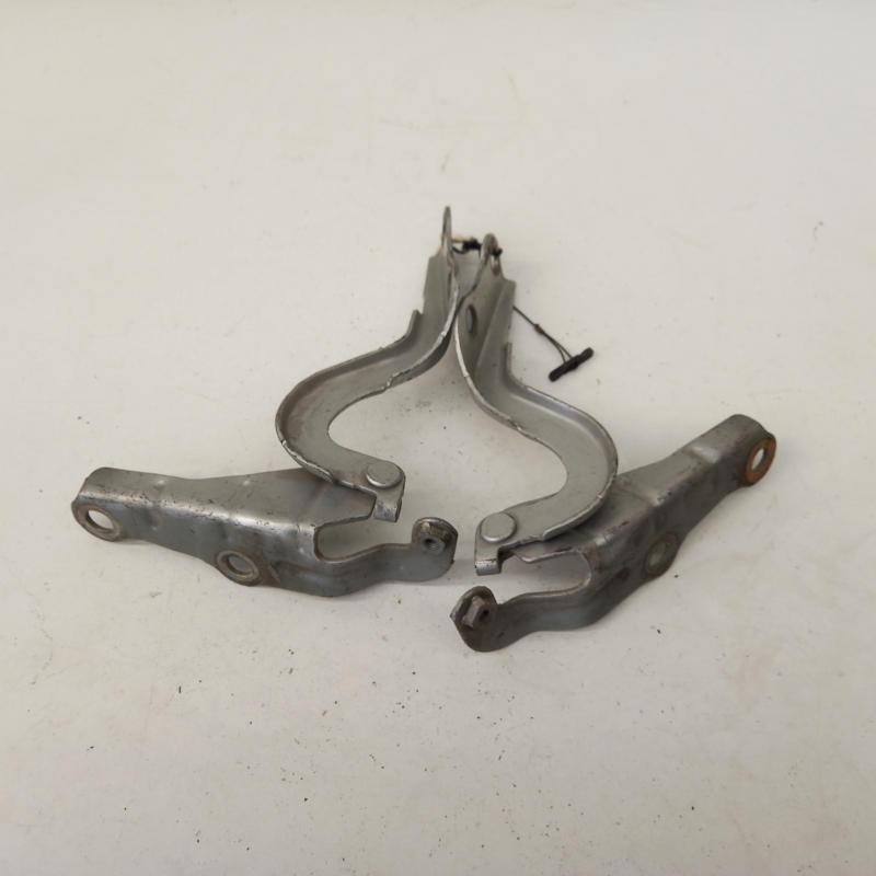 bonnet hinge/strut