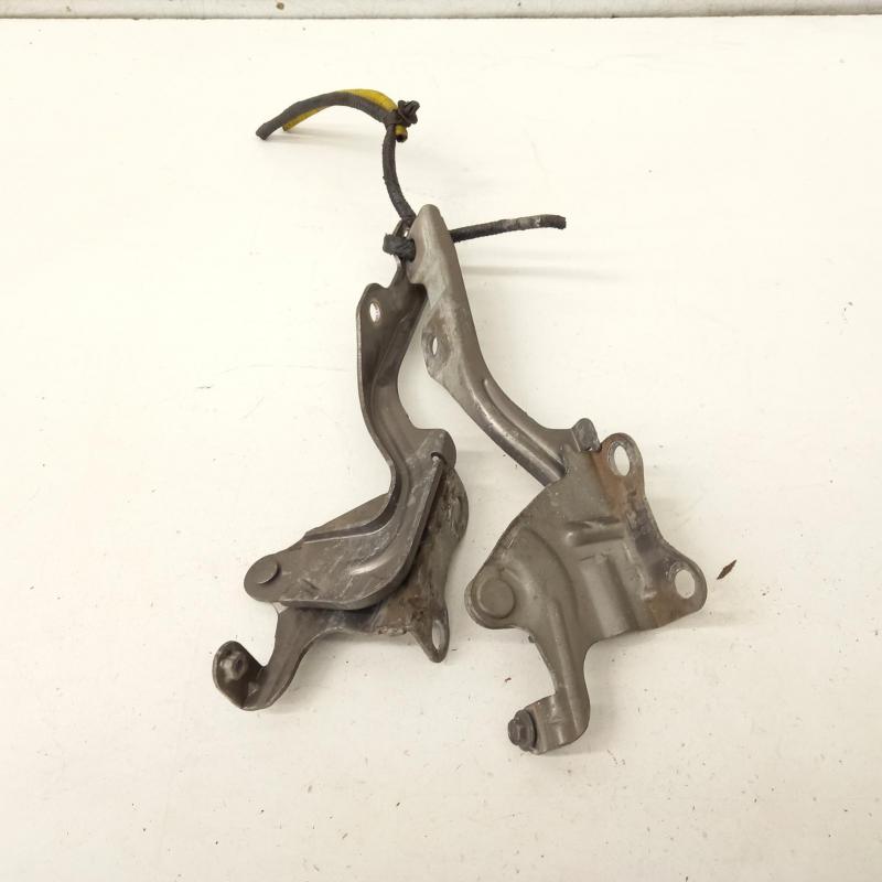 bonnet hinge/strut