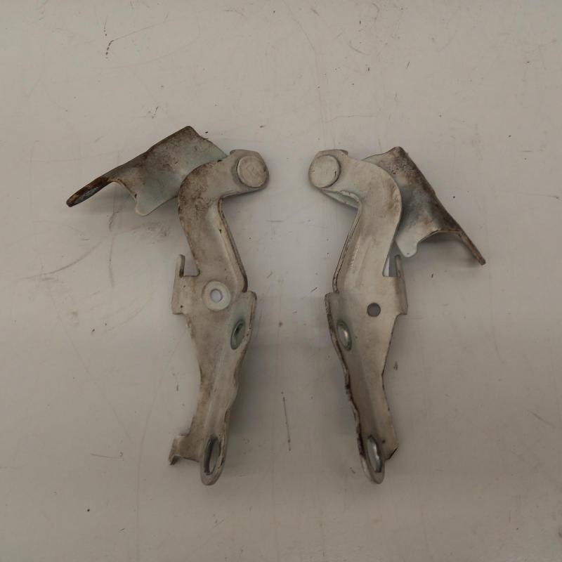 bonnet hinge/strut
