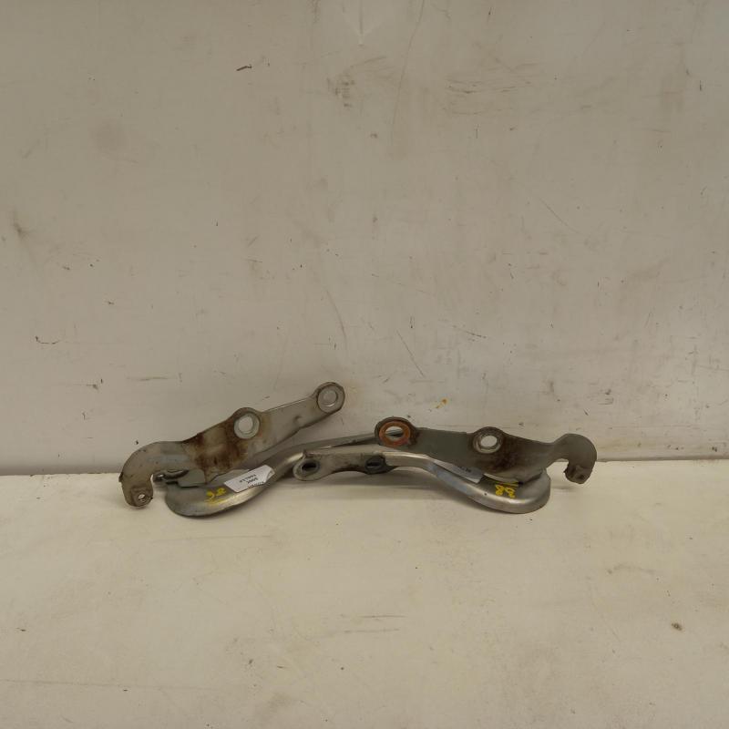 bonnet hinge/strut