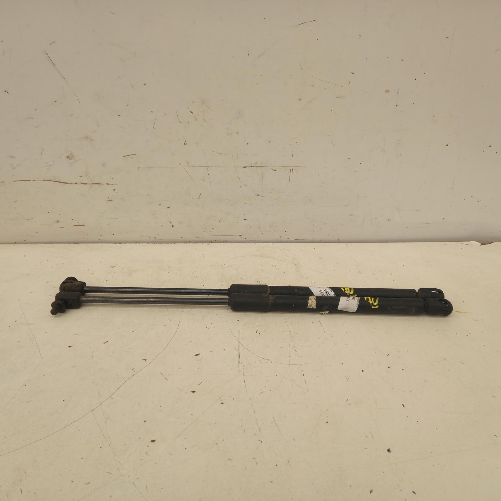 Landcruiser Bonnet Hinge/strut 1998-2007 100 series,struts (pair),01/98-10/07 00018079 #484890