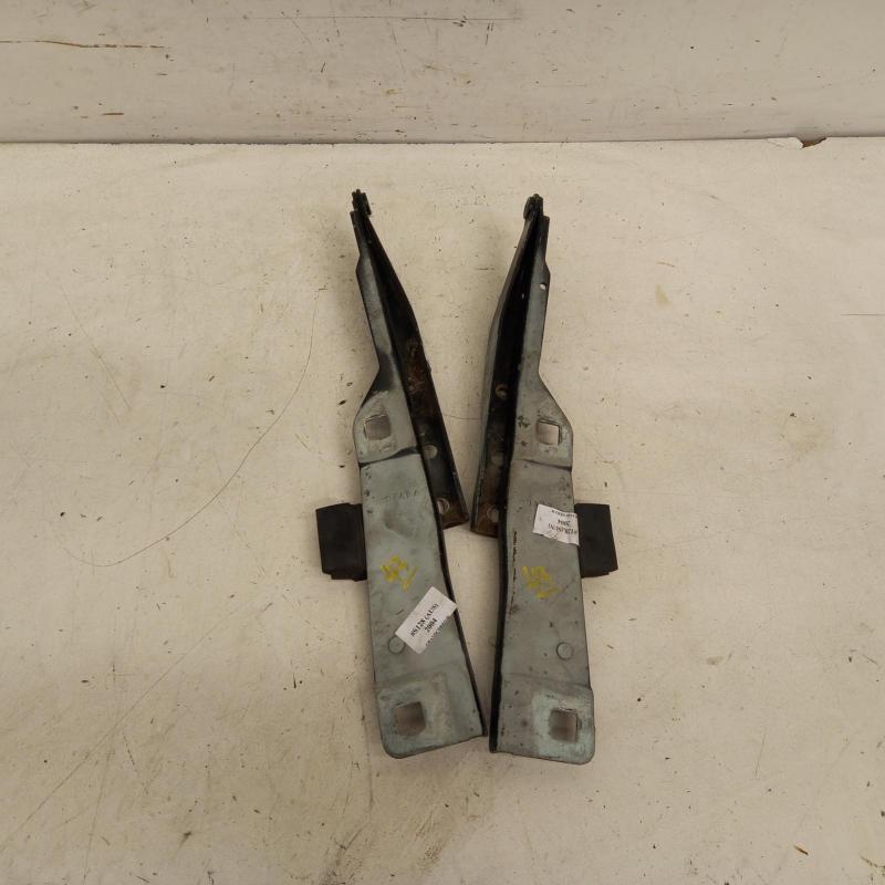 bonnet hinge/strut