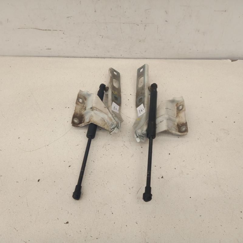 bonnet hinge/strut