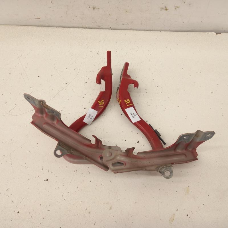 bonnet hinge/strut