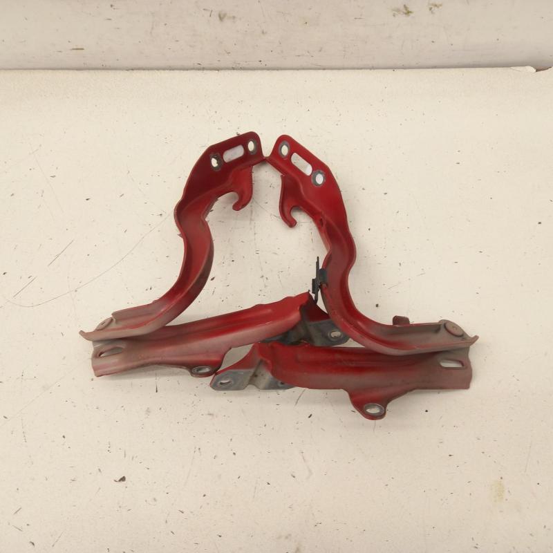 bonnet hinge/strut