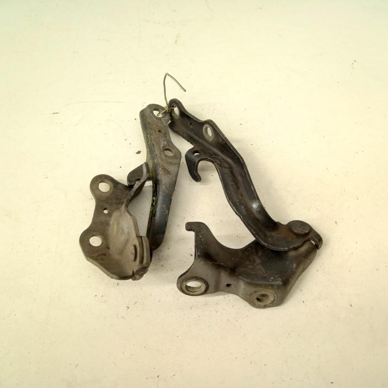 bonnet hinge/strut