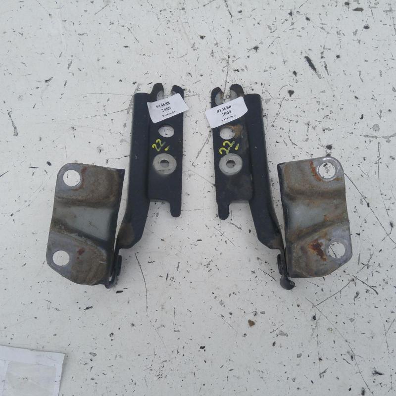 bonnet hinge/strut