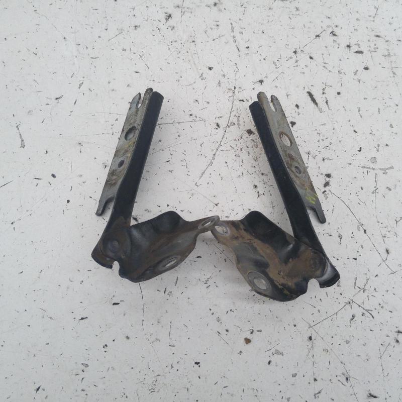 bonnet hinge/strut