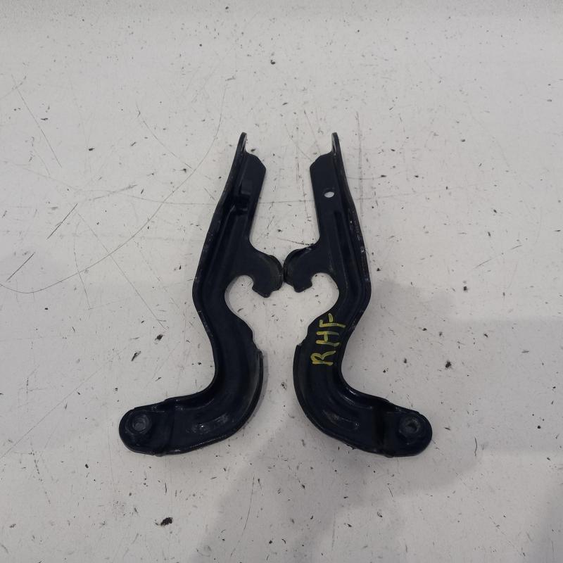 bonnet hinge/strut