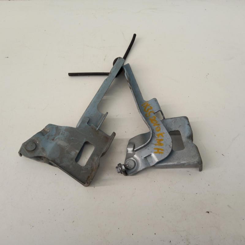 bonnet hinge/strut