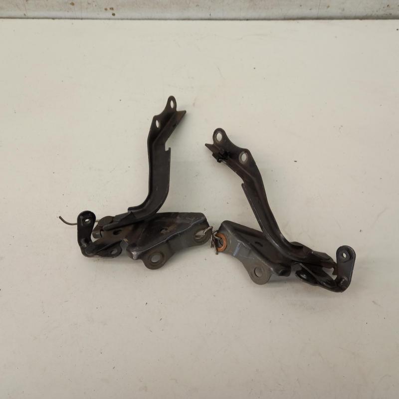 bonnet hinge/strut