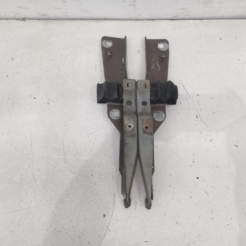 bonnet hinge/strut