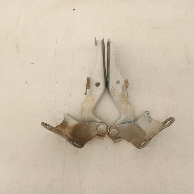 bonnet hinge/strut